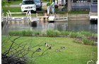 Property photo 81 - 2 Acres of Prime Lakefront Real Estate Auction with Home, Peninsula and Private Island